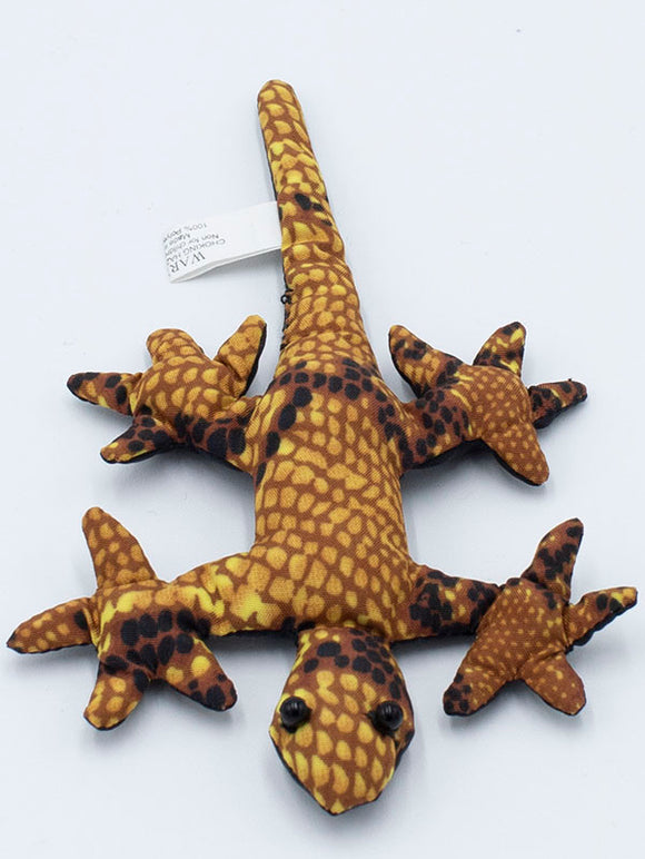 Gold Gecko Sand Animal